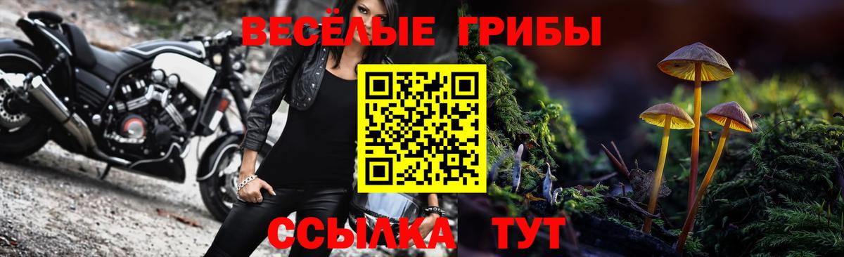Кызыл  Псилоцибиновые грибы Cubensis  Псилоцибиновые грибы MAGIC MUSHROOMS  Вход с VPN 
